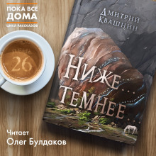 Ниже... темнее... - обложка книги