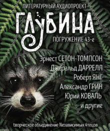 ГЛУБИНА. Погружение 43-е - обложка книги